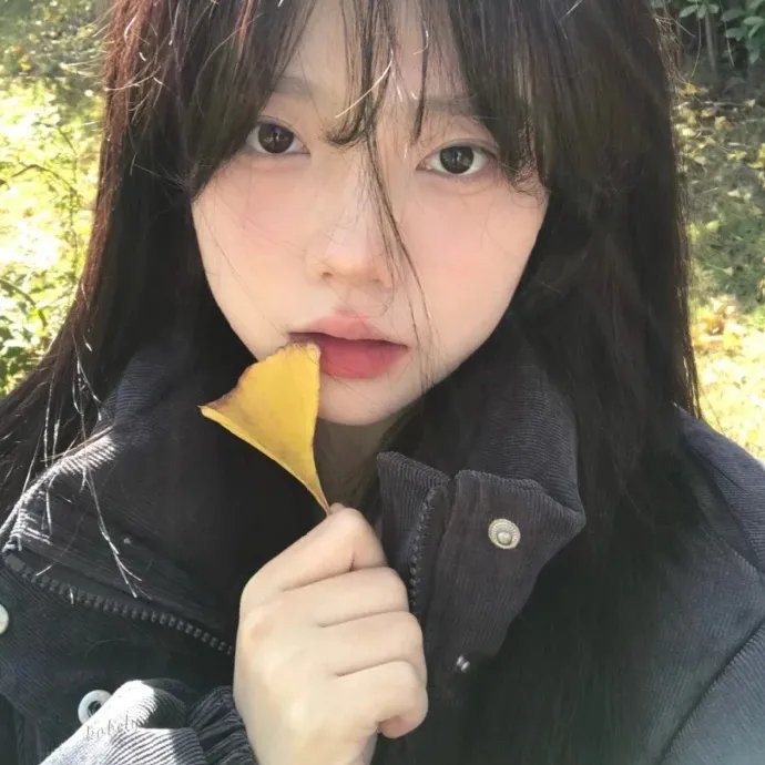 最美的安排