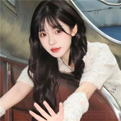 伪装大师2:完美骗局